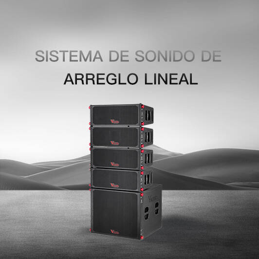 Sistema de Sonido de Arreglo Lineal
